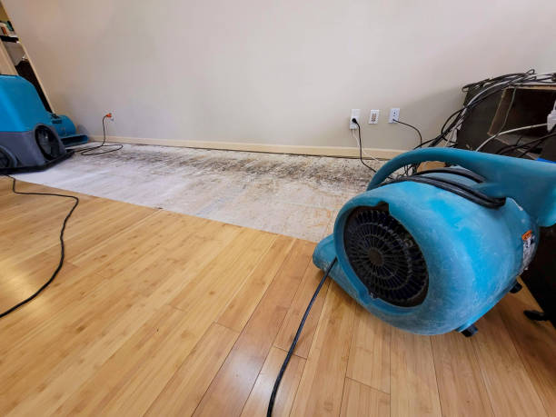 Professional Emergency Water Damage technician working in Riverside, RI
